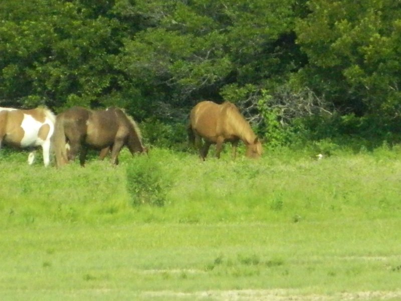 DSCN2277.JPG