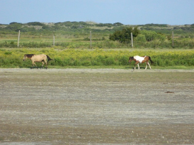 DSCN2279.JPG