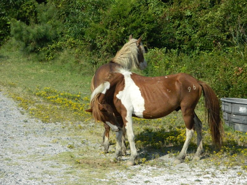 DSCN2280.JPG