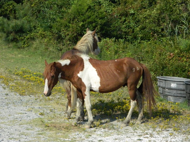 DSCN2281.JPG