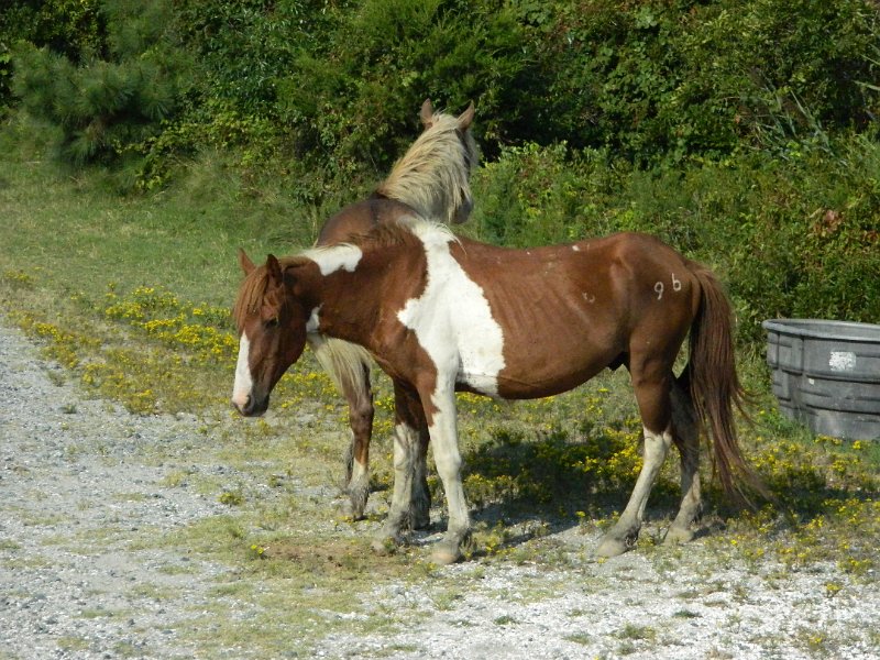 DSCN2282.JPG