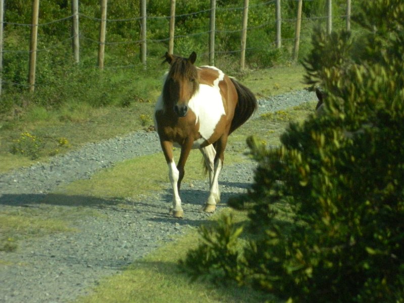 DSCN2284.JPG