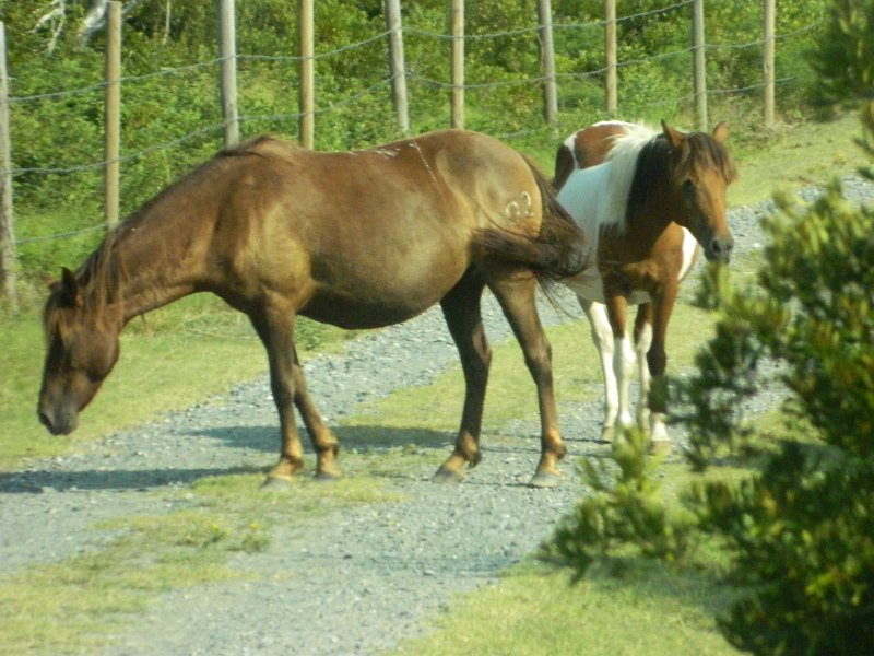 DSCN2285.JPG