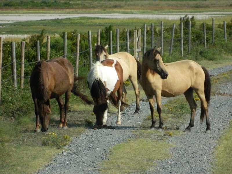 DSCN2287.JPG