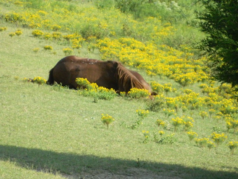 DSCN2288.JPG