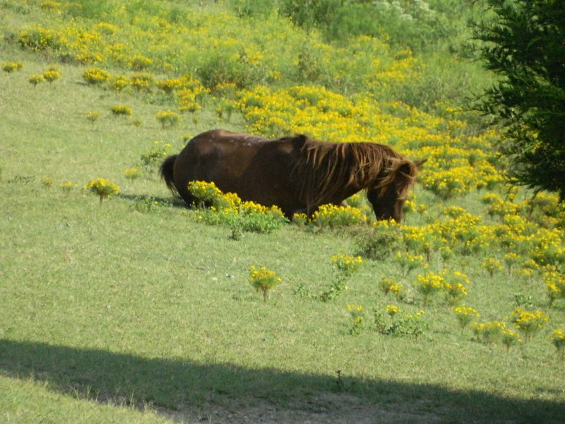 DSCN2289.JPG