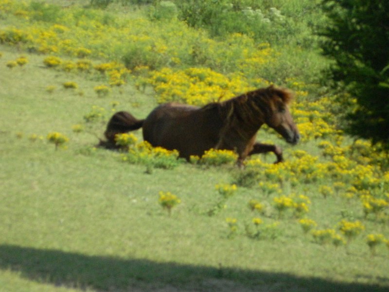 DSCN2291.JPG