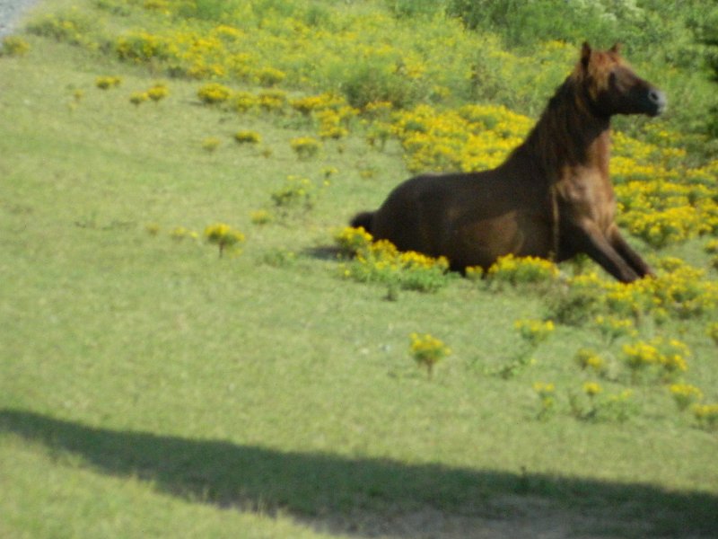 DSCN2292.JPG
