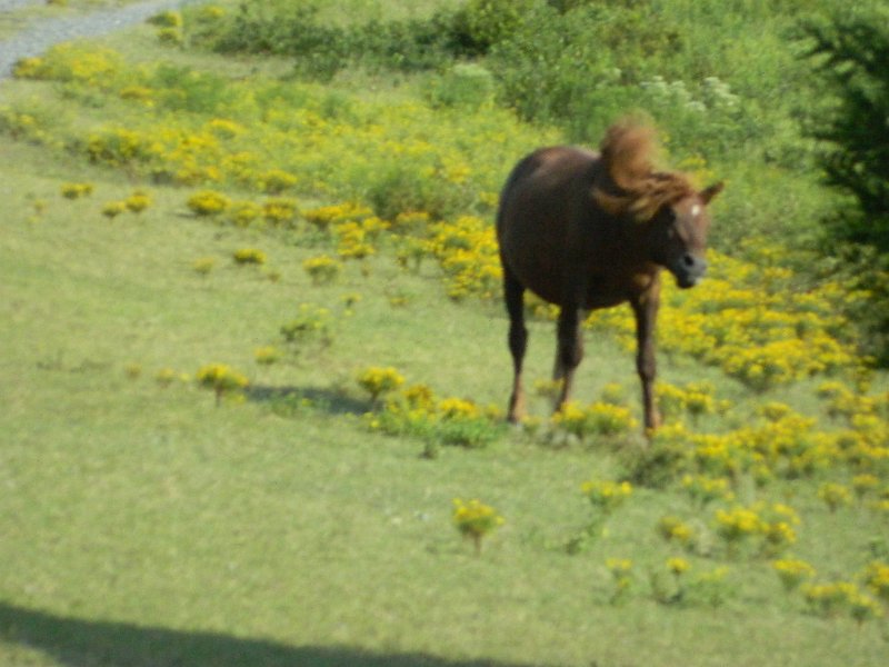 DSCN2293.JPG