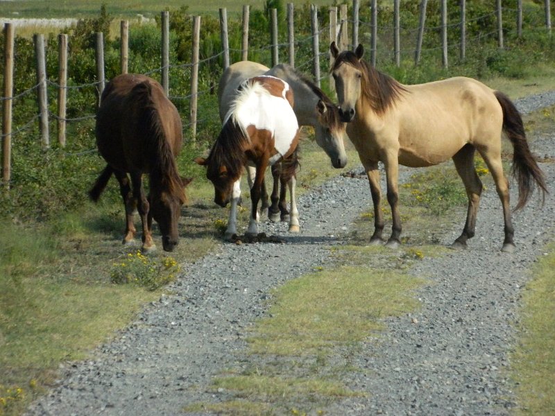 DSCN2294.JPG