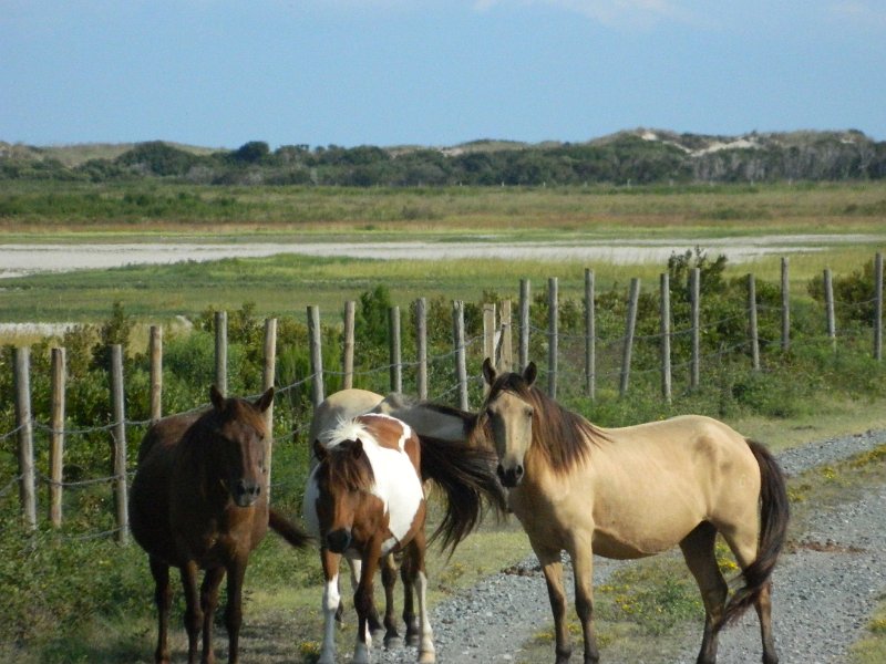 DSCN2296.JPG