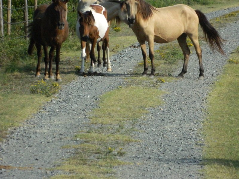 DSCN2297.JPG