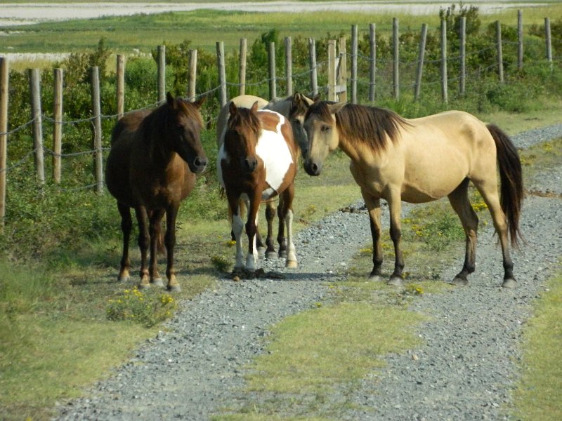 DSCN2298.JPG