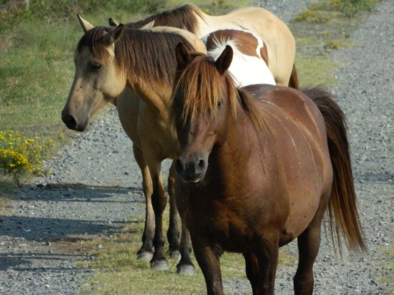 DSCN2304.JPG