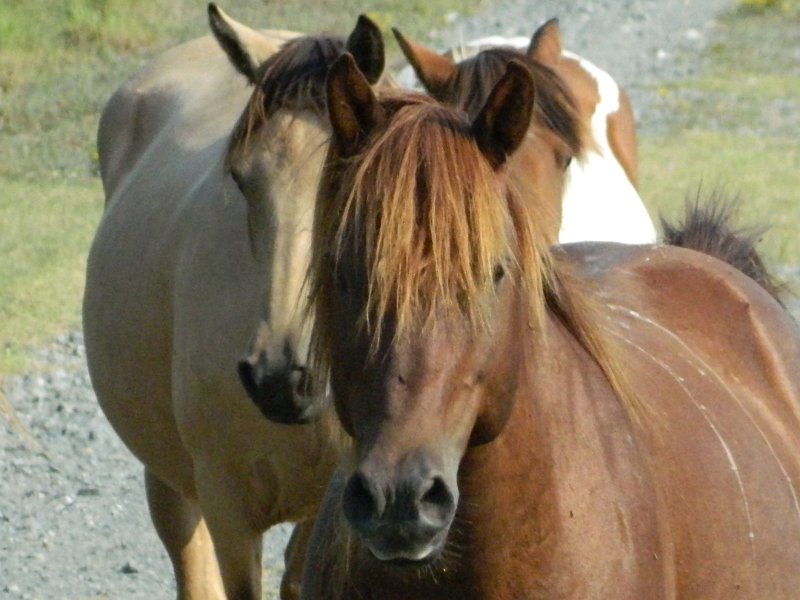 DSCN2305.JPG