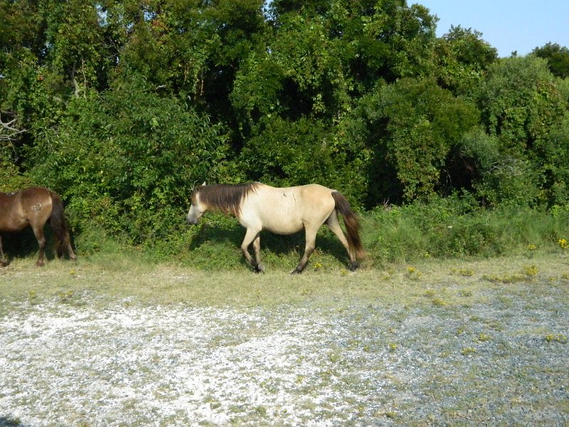 DSCN2306.JPG