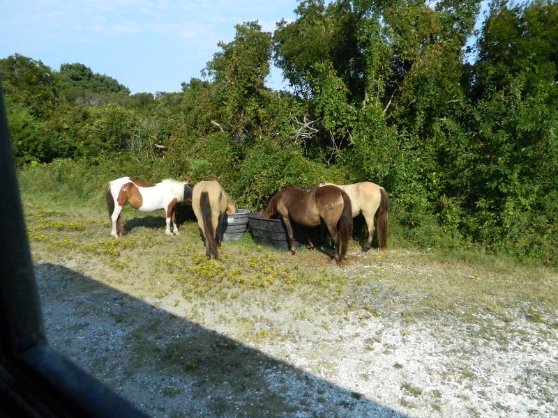 DSCN2307.JPG