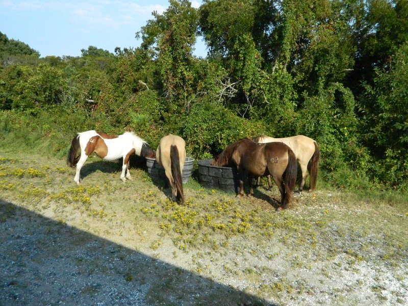 DSCN2309.JPG