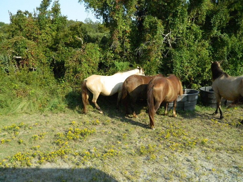 DSCN2317.JPG
