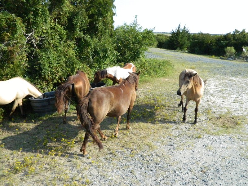 DSCN2318.JPG