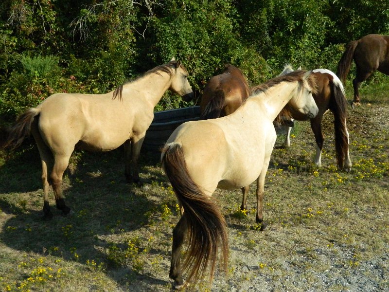 DSCN2325.JPG