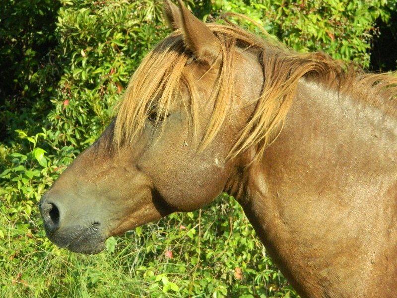 DSCN2327.JPG