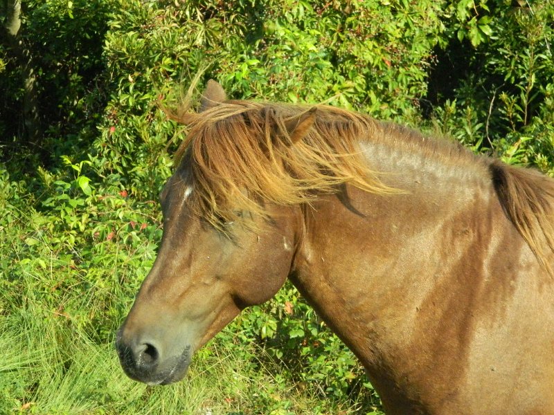 DSCN2328.JPG