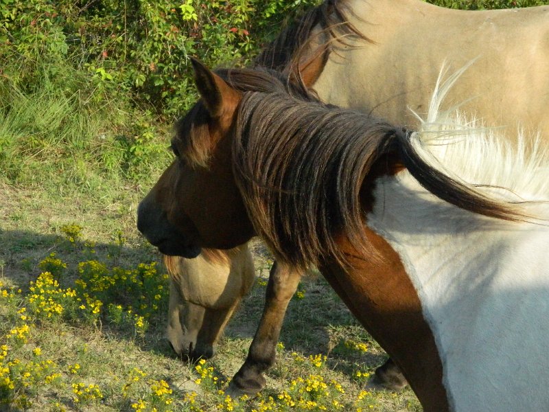 DSCN2334.JPG