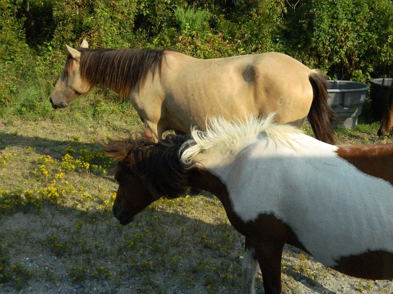DSCN2335.JPG