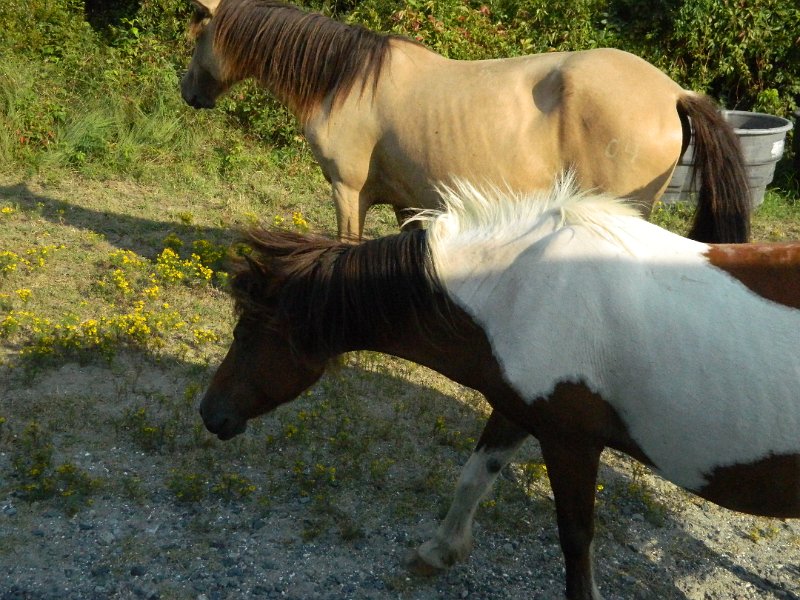 DSCN2336.JPG