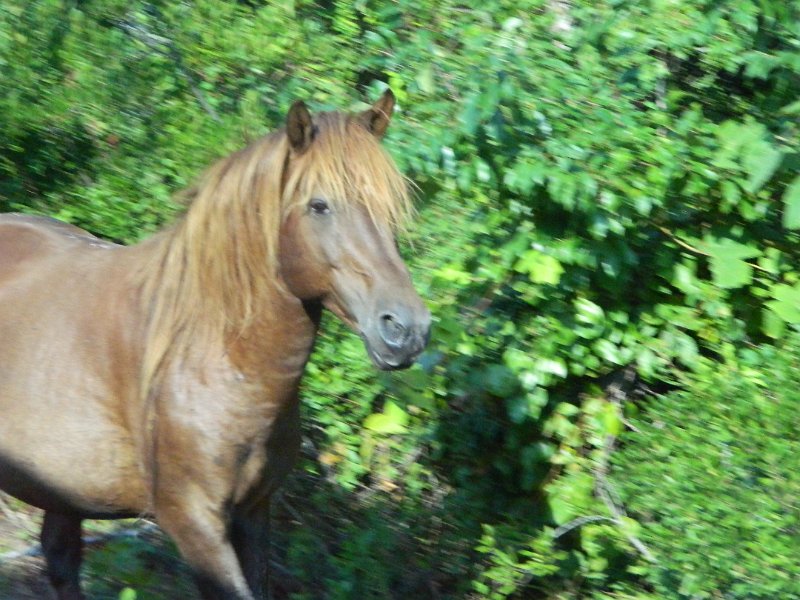 DSCN2338.JPG