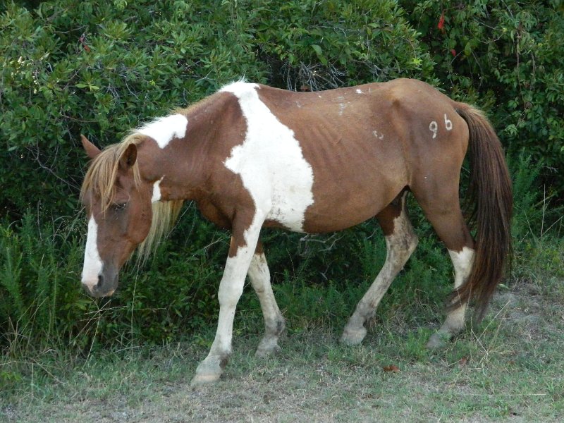 DSCN2339.JPG