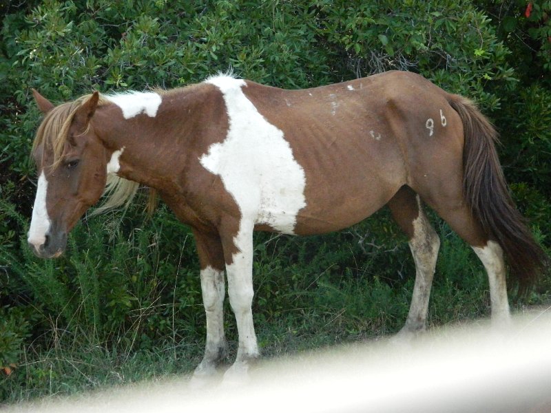 DSCN2340.JPG
