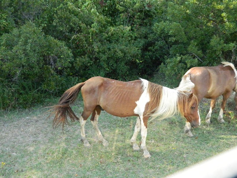 DSCN2341.JPG