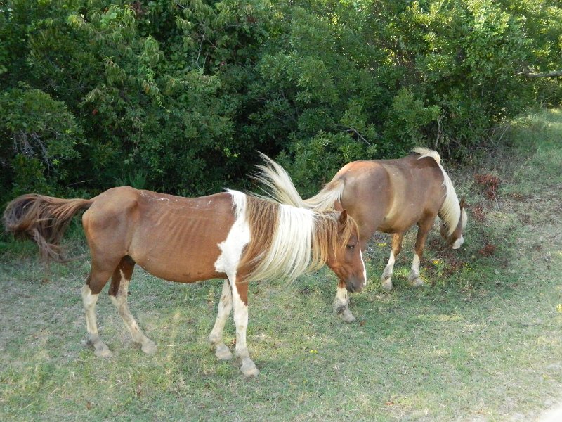 DSCN2342.JPG