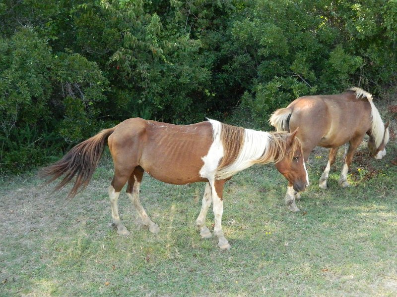 DSCN2343.JPG