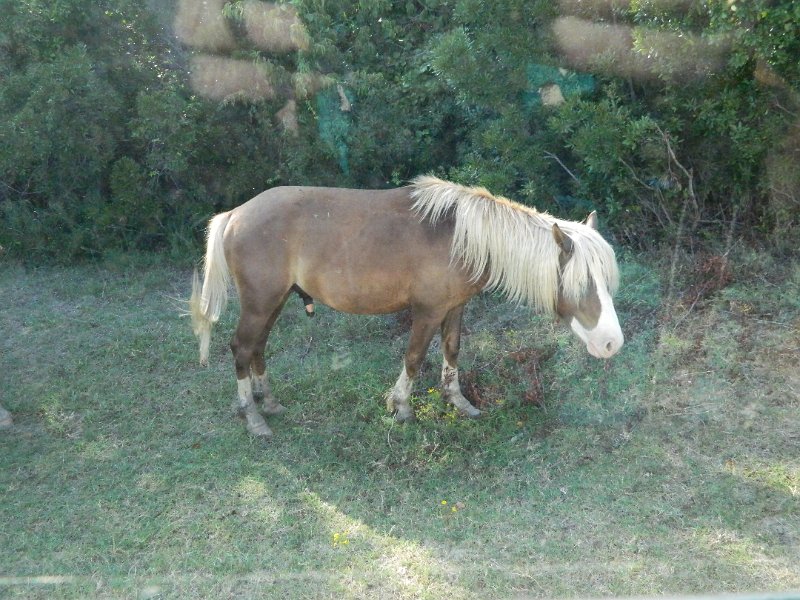 DSCN2346.JPG