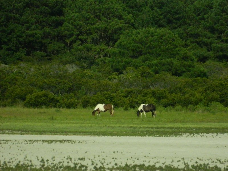 DSCN2354.JPG