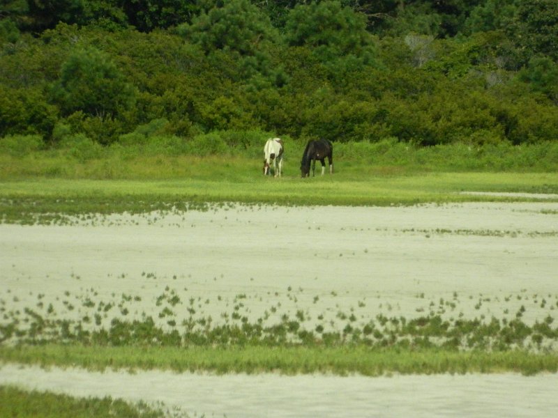 DSCN2355.JPG