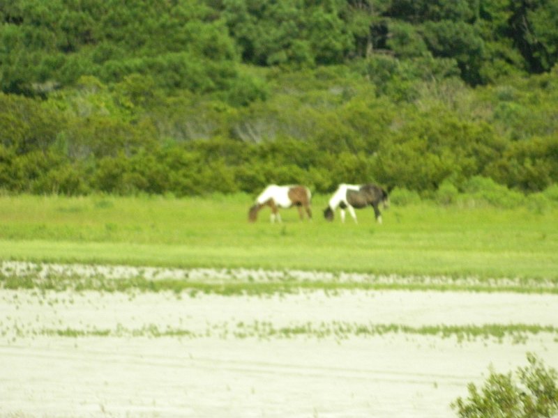 DSCN2356.JPG