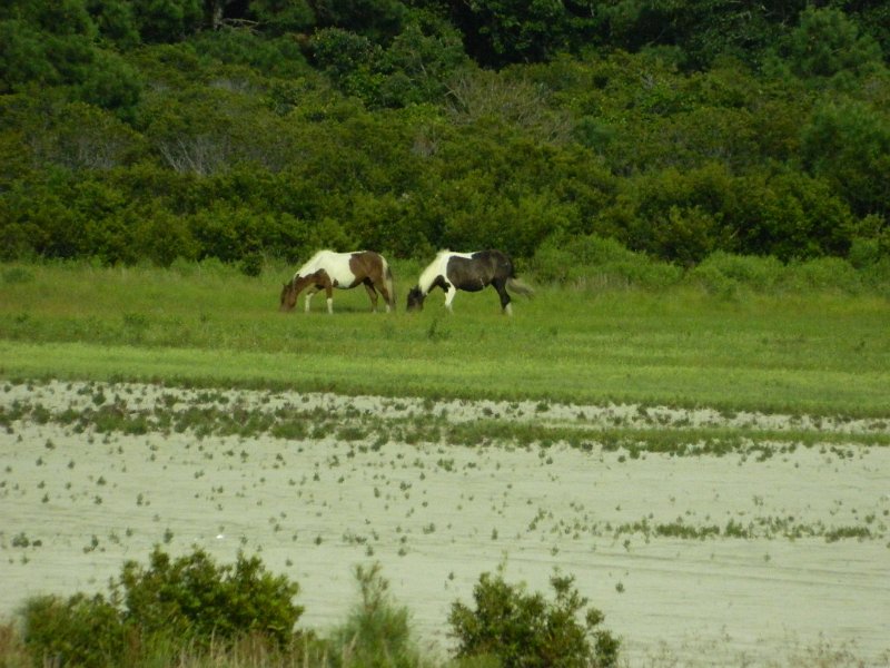 DSCN2357.JPG