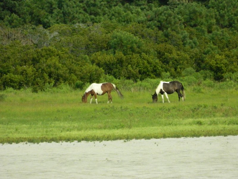 DSCN2358.JPG