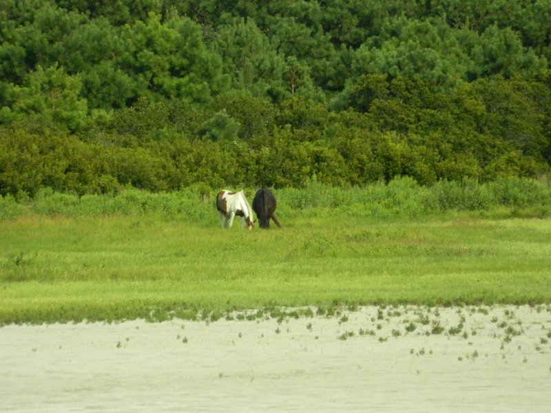 DSCN2359.JPG