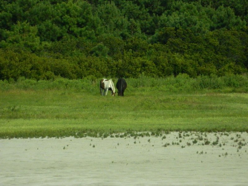 DSCN2360.JPG