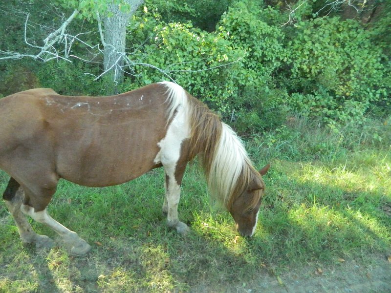 DSCN2365.JPG