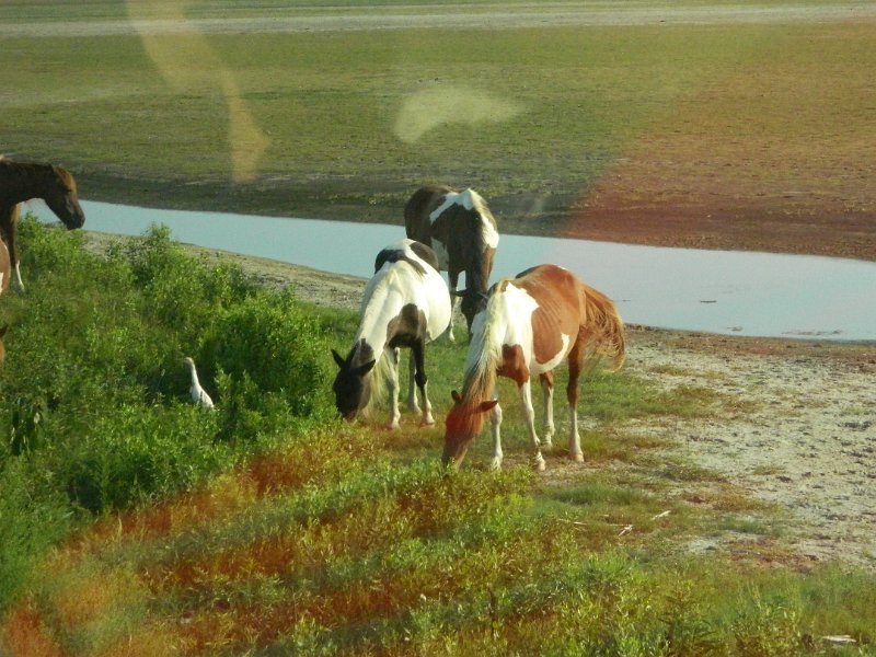 DSCN2366.JPG