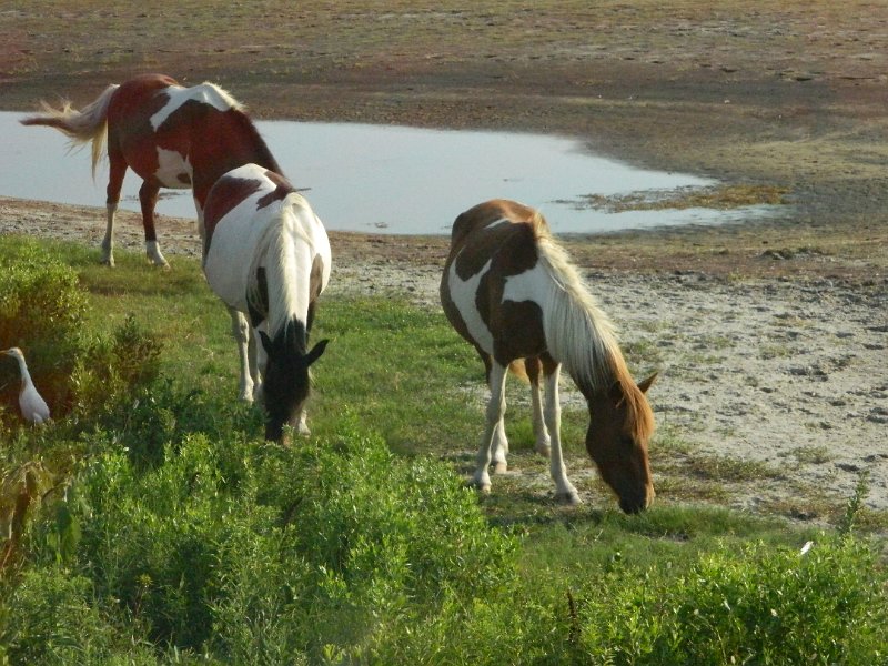 DSCN2367.JPG