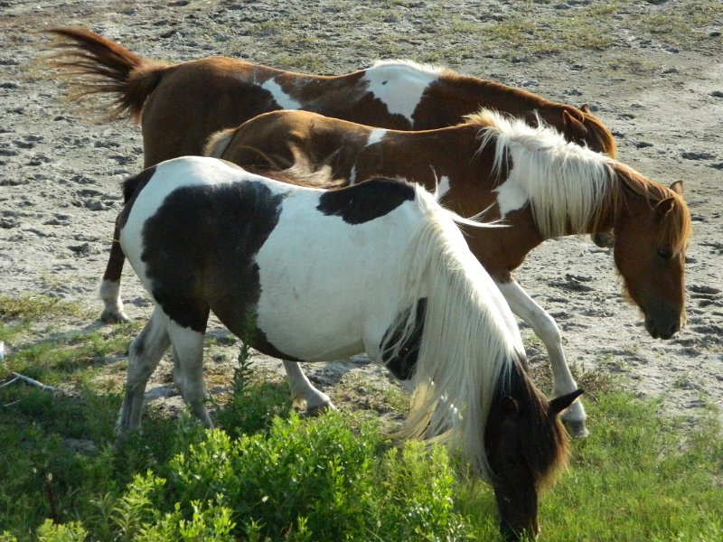 DSCN2368.JPG