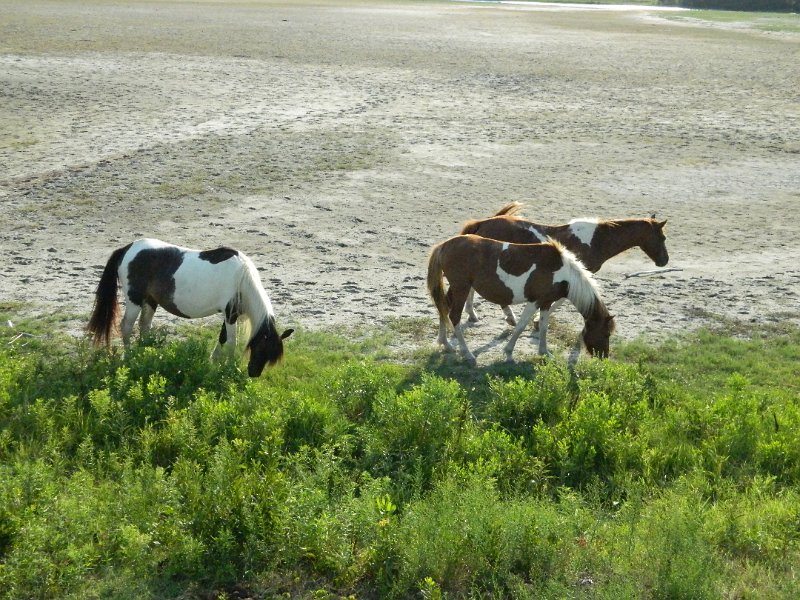 DSCN2369.JPG