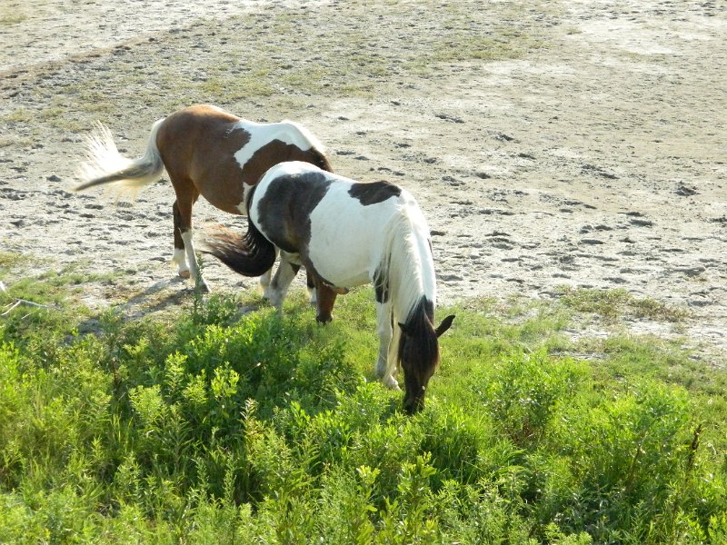 DSCN2371.JPG